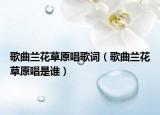 歌曲兰花草原唱歌词（歌曲兰花草原唱是谁）