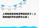 上海电信查询电话号码是多少（上海电信的手机话费怎么查）