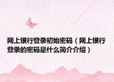 网上银行登录初始密码（网上银行登录的密码是什么简介介绍）