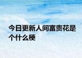 今日更新人间富贵花是个什么梗