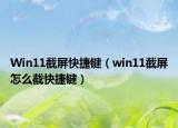 Win11截屏快捷键（win11截屏怎么截快捷键）