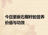 今日更新石榴籽的营养价值与功效