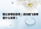 朝云暮卷的意思（请问朝飞暮卷是什么意思）