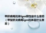 甲肝病毒抗体Igm阴性是什么意思（甲型肝炎病毒igm抗体是什么意思）