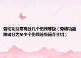 劳动功能障碍分几个伤残等级（劳动功能障碍分为多少个伤残等级简介介绍）