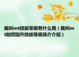 我叫mt技能等级有什么用（我叫mt如何提升技能等级简介介绍）