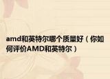 amd和英特尔哪个质量好（你如何评价AMD和英特尔）