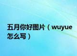 五月你好图片（wuyue怎么写）