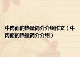 牛肉面的热量简介介绍作文（牛肉面的热量简介介绍）
