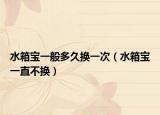 水箱宝一般多久换一次（水箱宝一直不换）