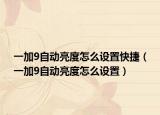 一加9自动亮度怎么设置快捷（一加9自动亮度怎么设置）