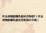 什么动物的瞳孔是长方形的?（什么动物的瞳孔是长方形简介介绍）