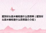 爱到尽头覆水难收是什么意思啊（爱到尽头覆水难收是什么意思简介介绍）