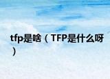 tfp是啥（TFP是什么呀）