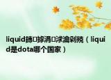 liquid鏄摢涓浗瀹剁殑（liquid是dota哪个国家）