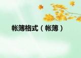 帐簿格式（帐簿）