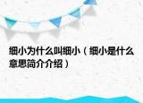 细小为什么叫细小（细小是什么意思简介介绍）