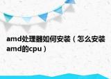 amd处理器如何安装（怎么安装amd的cpu）