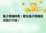 兔子养殖种类（野生兔子养殖技术简介介绍）