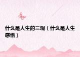 什么是人生的三观（什么是人生感悟）