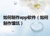 如何制作app软件（如何制作馕坑）