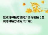 盐碱地种植方法简介介绍视频（盐碱地种植方法简介介绍）