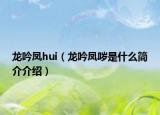 龙吟凤hui（龙吟凤哕是什么简介介绍）