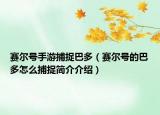 赛尔号手游捕捉巴多（赛尔号的巴多怎么捕捉简介介绍）