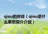 qiou的拼音（qiou是什么意思简介介绍）