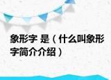 象形字 是（什么叫象形字简介介绍）