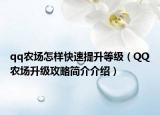qq农场怎样快速提升等级（QQ农场升级攻略简介介绍）