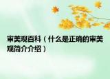 审美观百科（什么是正确的审美观简介介绍）