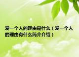 爱一个人的理由是什么（爱一个人的理由有什么简介介绍）