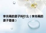 李光羲的妻子叫什么（李光羲的妻子是谁）