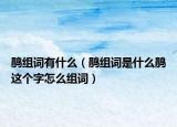 鹃组词有什么（鹃组词是什么鹃这个字怎么组词）