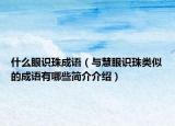 什么眼识珠成语（与慧眼识珠类似的成语有哪些简介介绍）