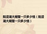 阳澄湖大闸蟹一只多少钱（阳澄湖大闸蟹一只多少钱）