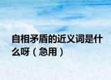 自相矛盾的近义词是什么呀（急用）