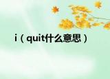 i（quit什么意思）