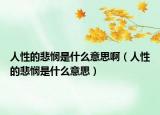 人性的悲悯是什么意思啊（人性的悲悯是什么意思）