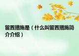 留置措施是（什么叫留置措施简介介绍）