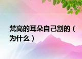 梵高的耳朵自己割的（为什么）