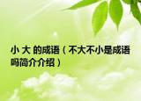 小 大 的成语（不大不小是成语吗简介介绍）