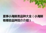 夏季小海鲜类品种大全（小海鲜有哪些品种简介介绍）