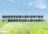 我的世界手机版大型村庄种子是多少（我的世界手机版大型村庄种子）