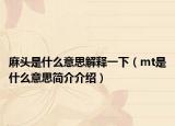 麻头是什么意思解释一下（mt是什么意思简介介绍）