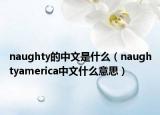 naughty的中文是什么（naughtyamerica中文什么意思）