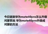 今日更新华为mate40pro怎么升级鸿蒙系统 华为mate40pro升级成鸿蒙的方法
