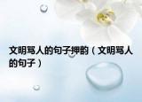 文明骂人的句子押韵（文明骂人的句子）