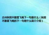 古诗秋阴不散霜飞晚下一句是什么（秋阴不散霜飞晚的下一句是什么简介介绍）